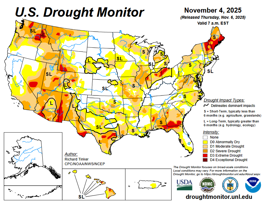 Screenshot 2025-11-09 212900